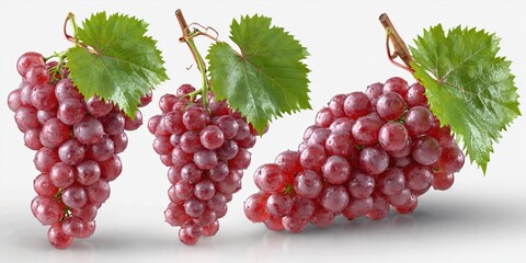 Naklejka premium Fresh Ripe Red Grapes with Green Leaves Isolated on White Background