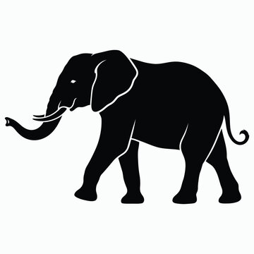 African elephant walking with tusks vector silhouette