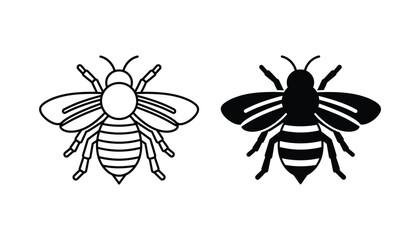 Honey bee insect icon in detailed line art and solid black silhouette for nature and apiary branding © Nova