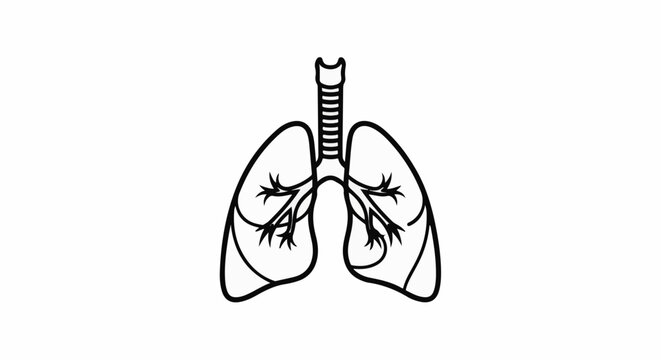Stylized line art illustration of human lungs and trachea