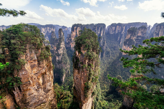 Spring scenery of Yuanjiajie mountains