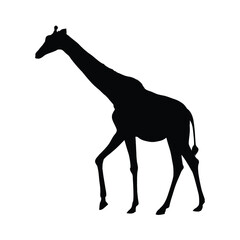 Obraz premium vector