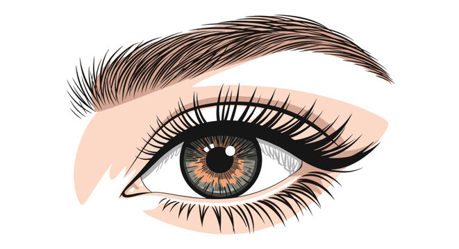 Detailed close up illustration of a human eye with long eyelashes and well defined eyebrows for beauty and health themes.