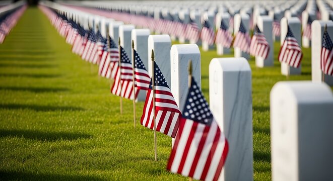 Rows of american flags at arlington national cemetery memorial day remembrance