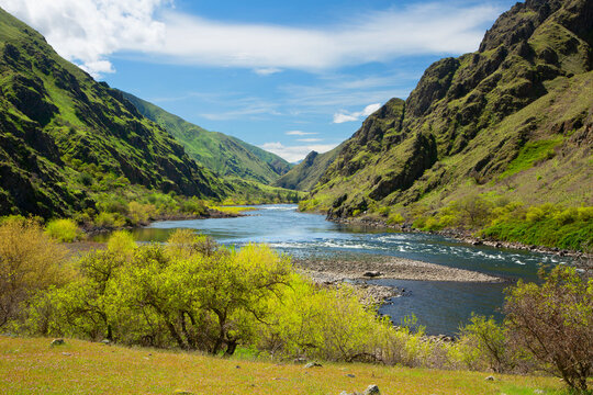 Snake Wild and Scenic River from Snake River Trail, Hells Canyon National Recreation Area, Idaho