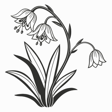 Tropical Nertera Flower Illustration for Design