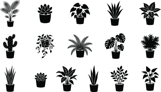 Fruit silhouette icon collection with assorted fresh fruits including apple citrus berries and melon isolated on white background