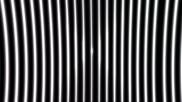 Monochrome bending and warping white lines on black background. Moving, stripped with hallucination video effect. Title or text background