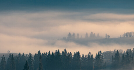Fototapeta premium Forest trees on the mountain hills in front of a foggy valley, lighten by morning sunlight rays at beautiful autumn sunrise. Carpathian mountains. Ukraine.