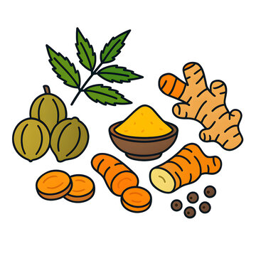 Traditional Ayurvedic Chyawanprash Ingredients Flat Vector Illustration
