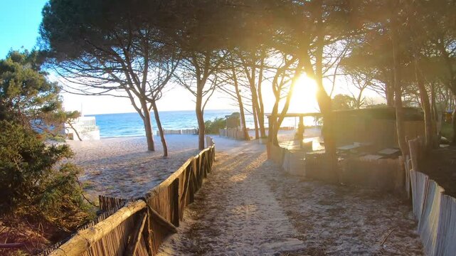 POV walking along a sandy trail through pine forest toward Maria Pia Beach at sunset, warm golden light filtering through trees