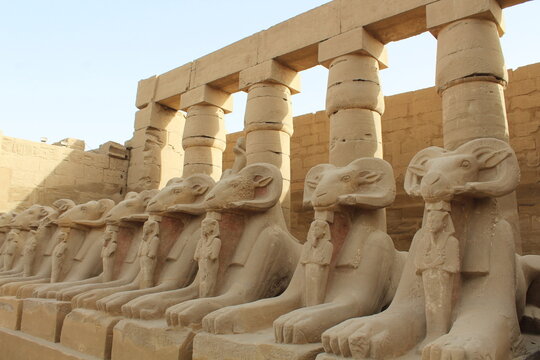 The Karnak Temple Complex Luxor - Ram-headed sphinx statues