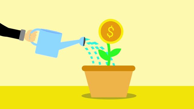 A hand watering a money plant with a gold coin flower in a pot on a yellow background.