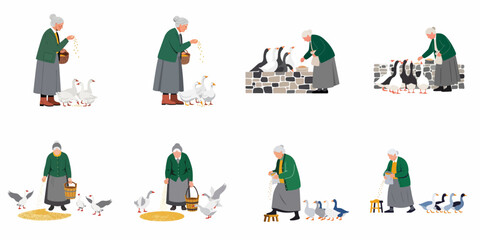 Set of vector illustrations depicting an elderly grandmother feeding a group of geese and ducks in a rural or farm setting. © Sugih