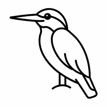 Black and white kingfisher bird perched on a branch