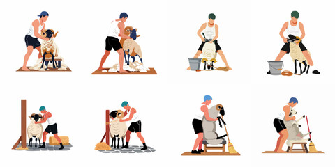 Set of vector illustrations depicting farm workers shearing wool from rams using traditional hand shears in various poses on a white background. © Sugih