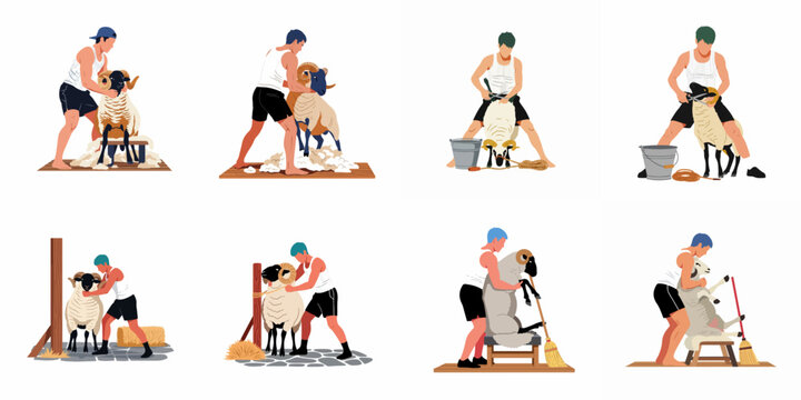 Set of vector illustrations depicting farm workers shearing wool from rams using traditional hand shears in various poses on a white background.
