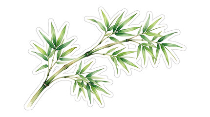 Obraz premium Green bamboo branch watercolor botanical sticker cutout isolated