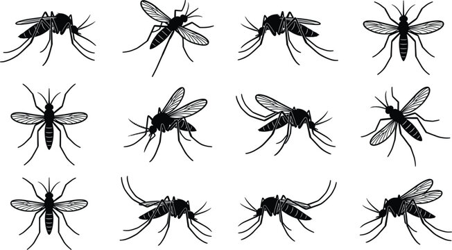 Mosquito silhouettes set with flying insect poses detailed wings and legs black pest vector illustration collection