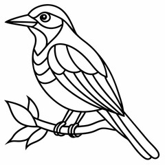 Obraz premium Black and white line drawing of a small bird perched on a branch