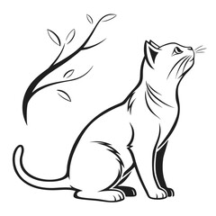 Black and white cat sitting with branch and leaves on white background sitting cat © Adori