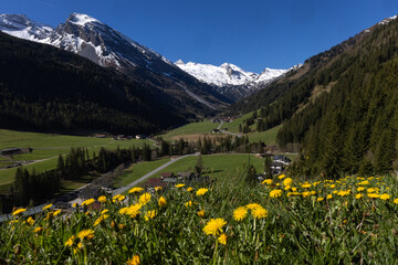 Fototapeta premium Zillertal Tirol