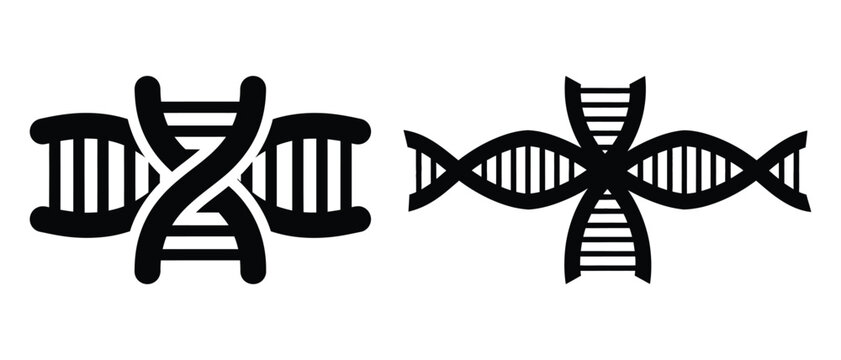 Dna helix silhouettes a molecular biology illustration with genetic code representation