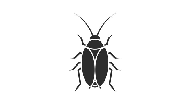 Black cockroach insect pest bug.