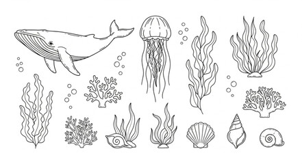 Whale jellyfish and coral reef elements hand drawn sketch. © Kerajaan