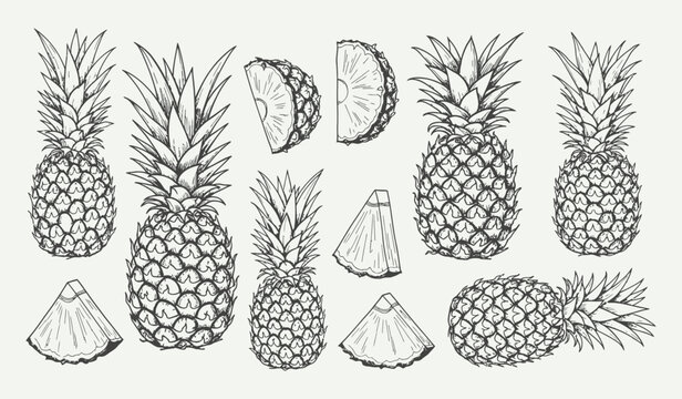 seamless pattern pineapple doodle	