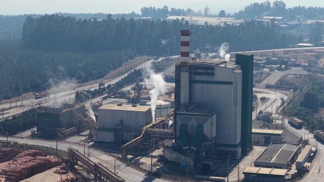 Aerial view of Vi&ntilde;ales thermal biomass power plant and sawmill in Chile.