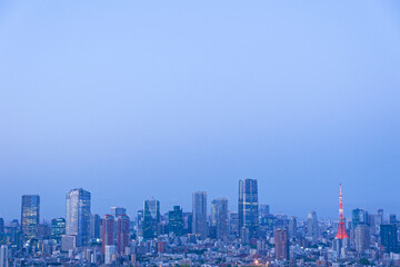 Fototapeta premium Tokyo city skyline at blue hour with illuminated Tokyo Tower and urban evening atmosphere