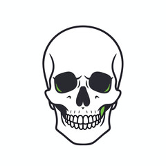 Fototapeta premium Minimalist human skull illustration with subtle green accents.