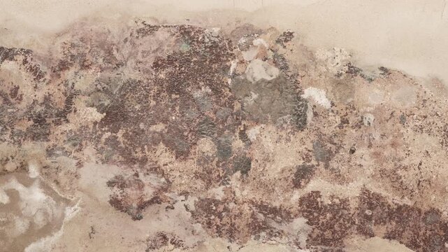 Rough texture wall background scene