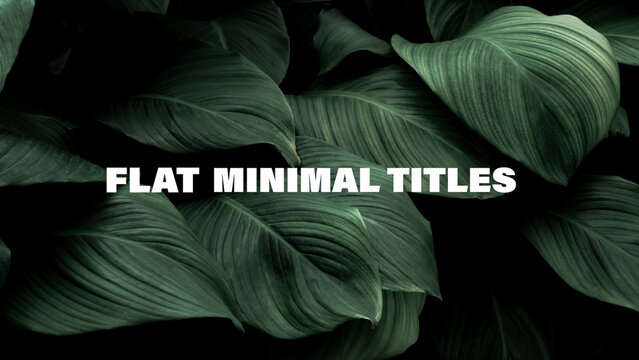 Flat Minimal Titles