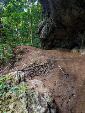 Looking towards a rocky overhang within a dense tropical jungle landscape