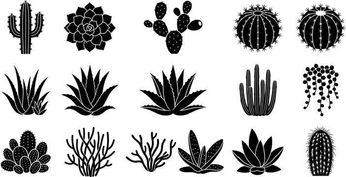 Cactus, succulent, icon set, black silhouette, vector graphics