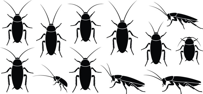 Cockroach silhouette icon set, crawling pest control vector, minimalist insect pests symbol, cockroach top and side view illustration isolated on white background
