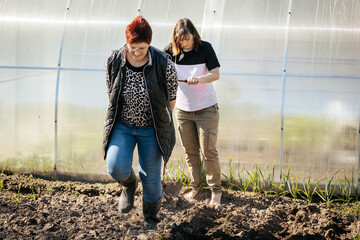 Two women working in a greenhouse garden, one kneeling in soil while the other stands behind, with plants growing in rows and a transparent plastic structure in the background © Emvats