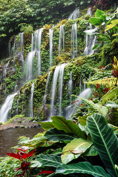 Waterfall cascading over mossy rocks surrounded by jungle foliage in Bali