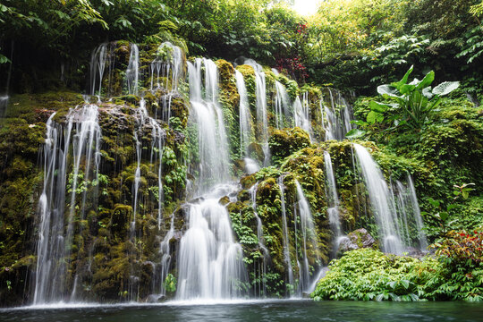 Cascade waterfall surrounded by tropical jungle foliage
