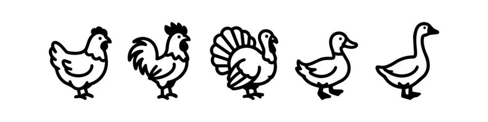 Minimalist Poultry Bird Icon Set Featuring Hen Rooster Turkey Duck and Goose in Black Line Art Vector Illustration for Farm and Agriculture Branding © Victor