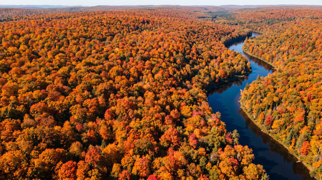 Aerial view of a winding river flowing through dense forest with vibrant autumn foliage in hues of orange, red, and yellow under a clear sky.