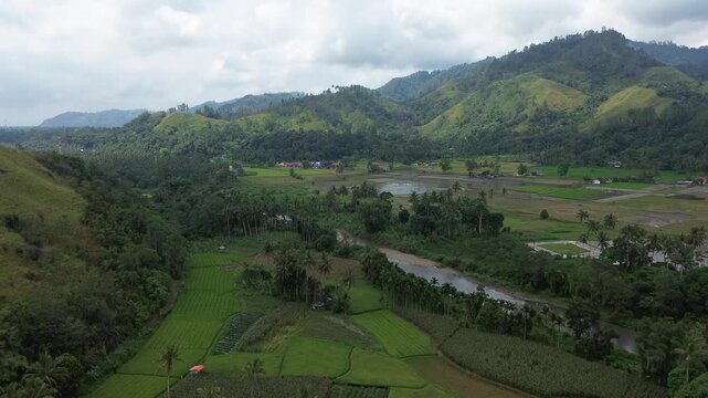 Aerial drone view of a serene valley nestled between lush green mountains in rural Indonesia. The landscape features a patchwork of rice fields, flooded paddy plots, coconut palm trees, and a small ri