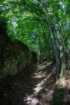 Aqueduct - Between Les loges en Josas et Buc - Bringing water to Versailles Castle - Yvelines - Ile-de-France - France