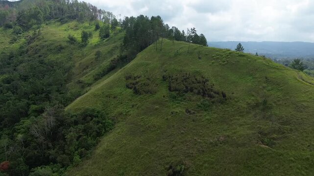 tunning aerial drone view of a sharp mountain ridge covered in lush green grass and pine trees under an overcast sky. Layers of forested hills and valleys extend into the misty distance, revealing th