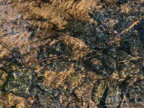 Water flowing over stone riverbed in direct sunlight