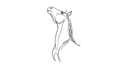 Fototapeta premium Elegant continuous line art drawing of a horse head looking up, minimalist equestrian animal illustration on a clean white background