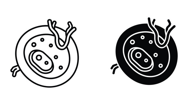 Simple cross-section illustration of cell mitosis with chromosomes