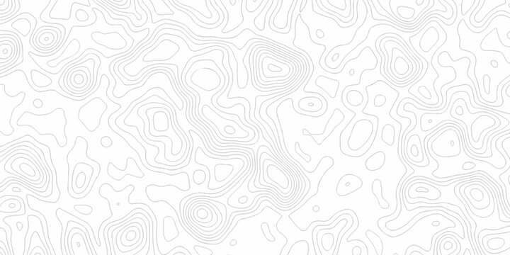 White topography map line geometric grid outline curve counter map wavy design. topography relief discovery area black spiral line space landscape texture background.